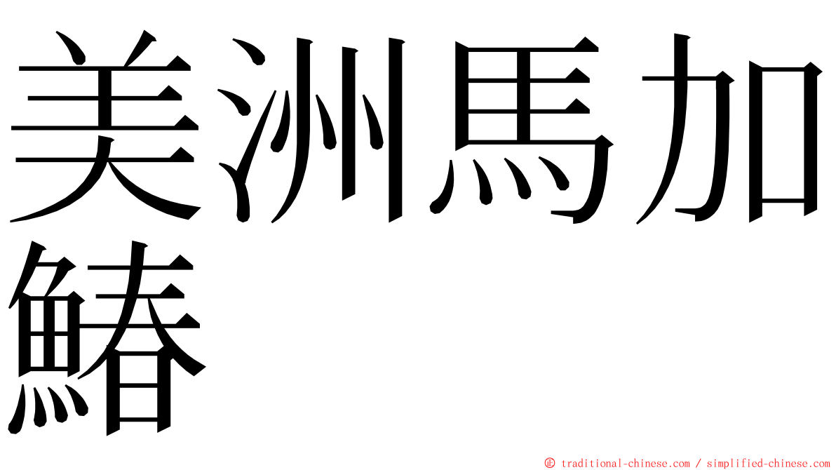 美洲馬加鰆 ming font