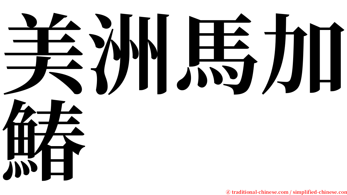 美洲馬加鰆 serif font