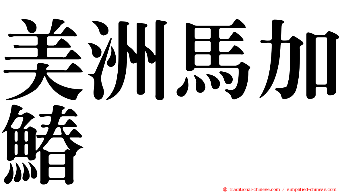 美洲馬加鰆