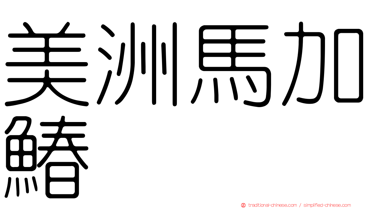 美洲馬加鰆