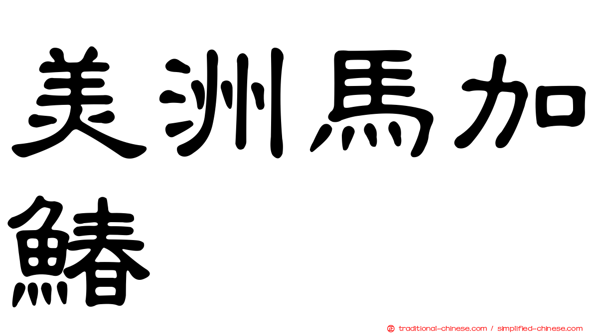 美洲馬加鰆