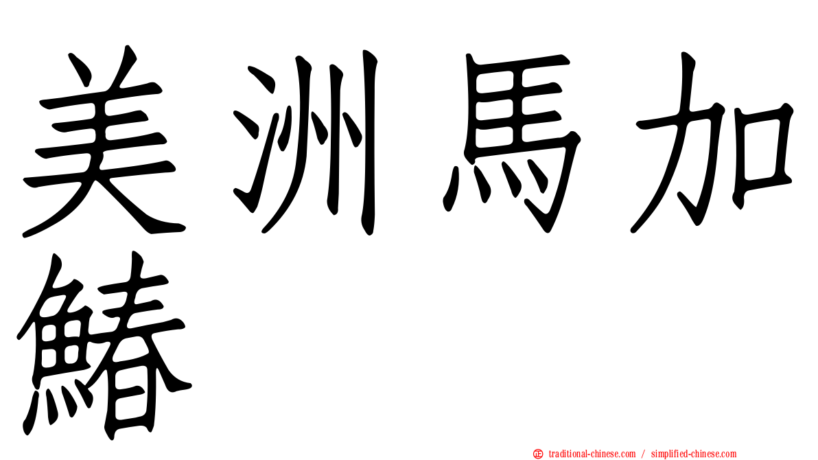 美洲馬加鰆