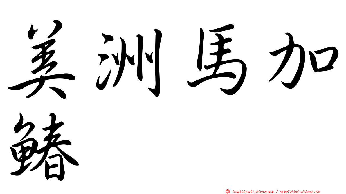 美洲馬加鰆