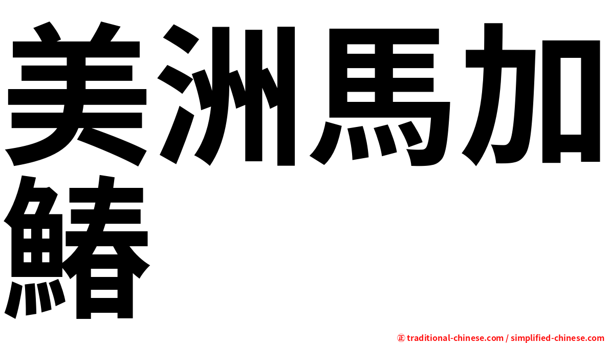 美洲馬加鰆