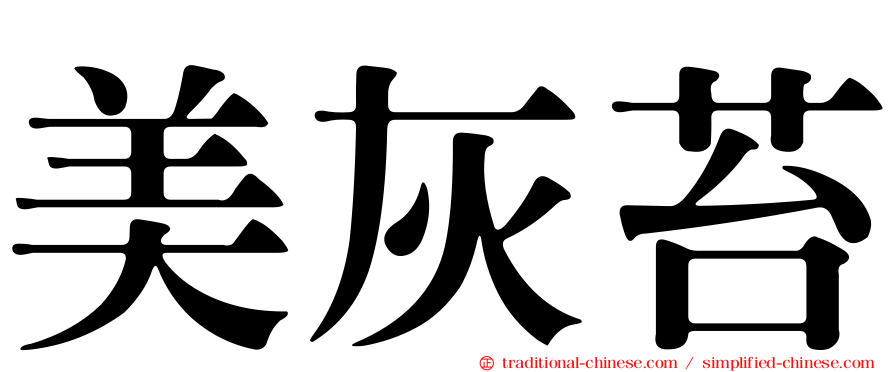 美灰苔