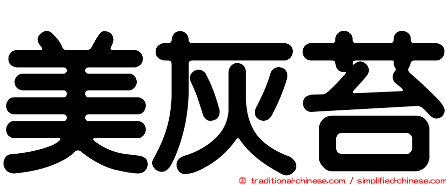 美灰苔