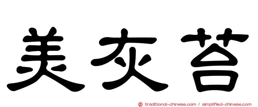 美灰苔