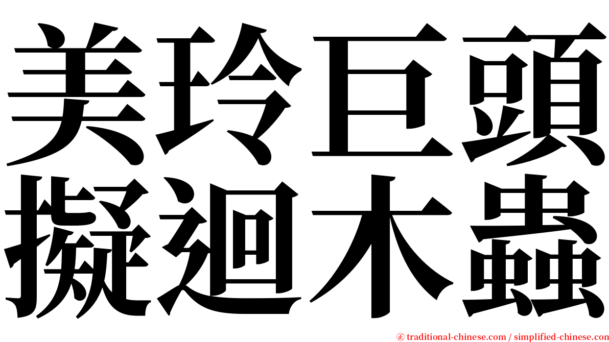 美玲巨頭擬迴木蟲 serif font