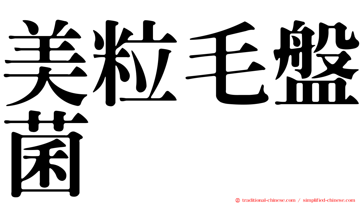美粒毛盤菌