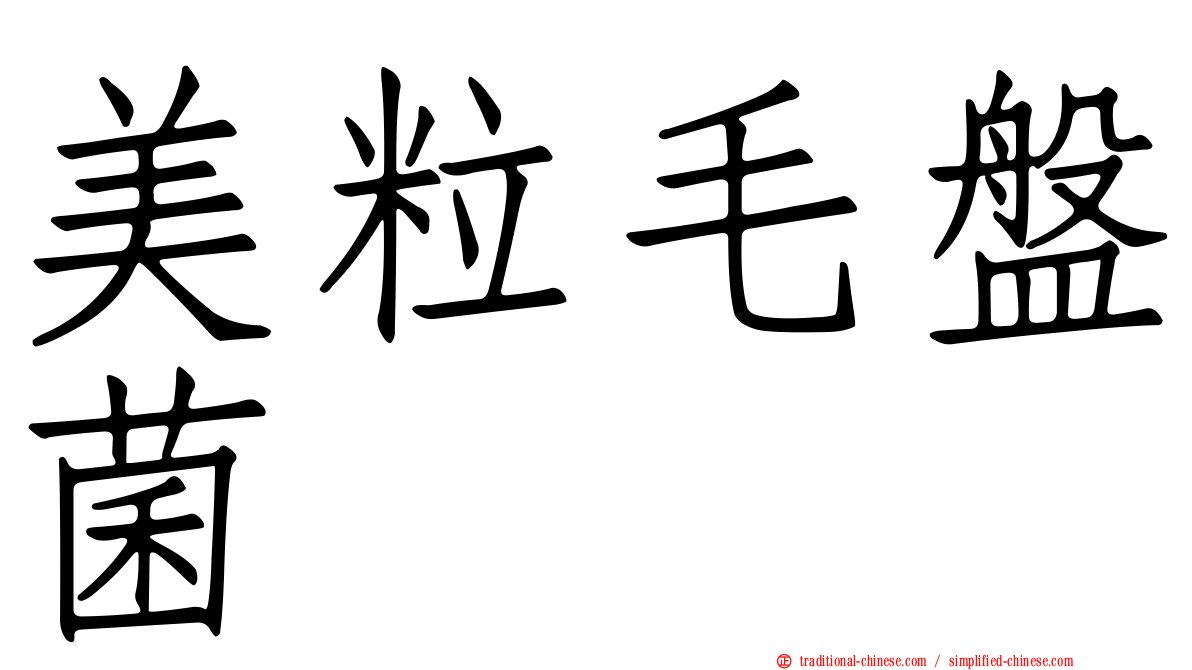 美粒毛盤菌