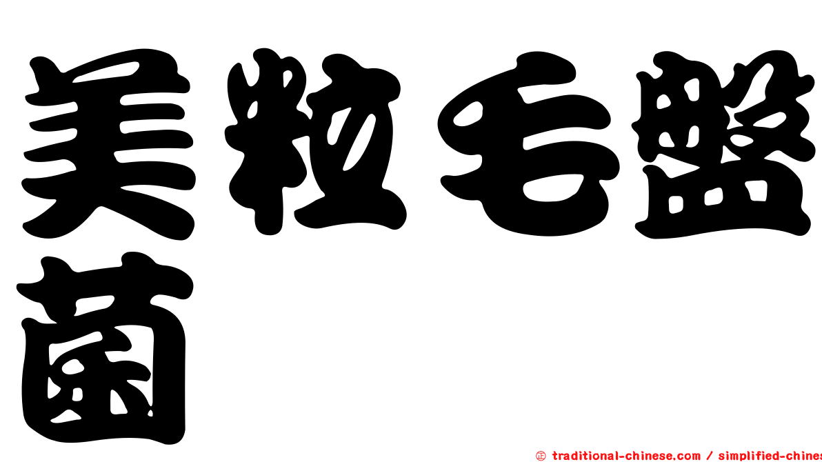 美粒毛盤菌