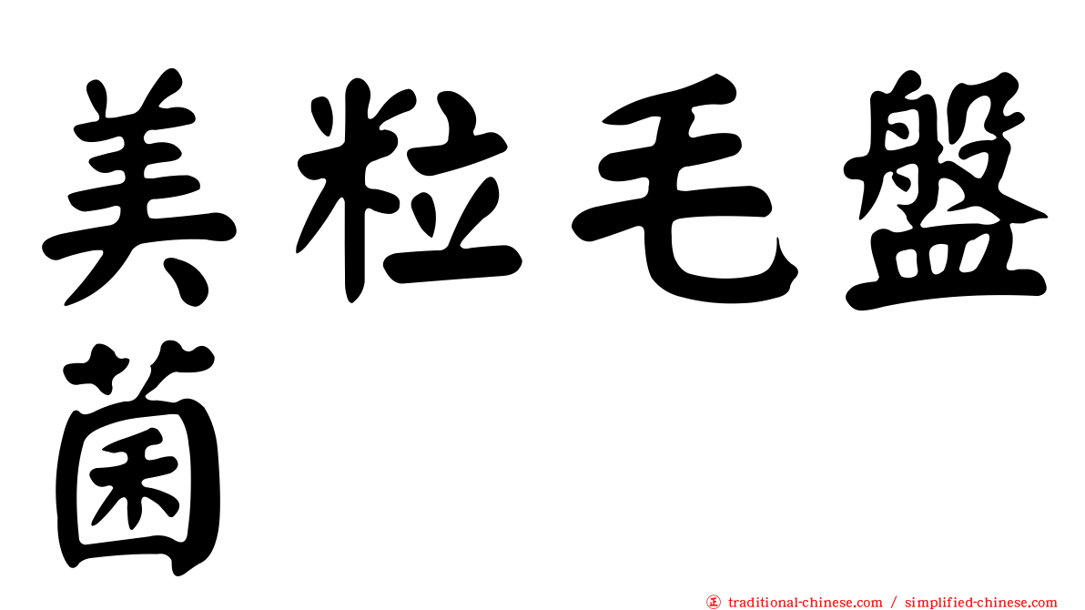 美粒毛盤菌