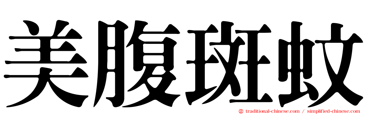 美腹斑蚊