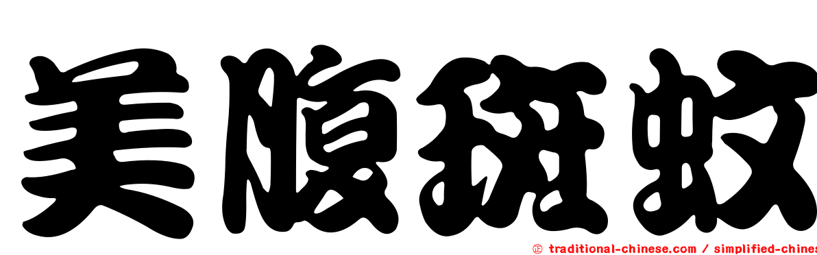 美腹斑蚊