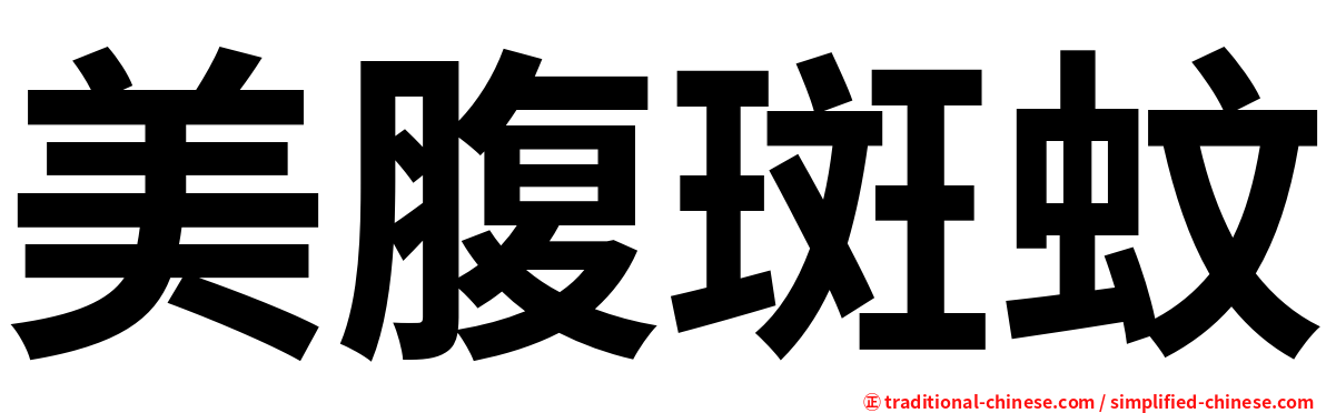 美腹斑蚊