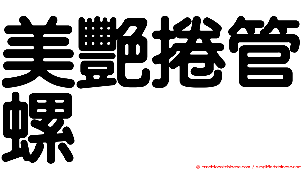 美艷捲管螺