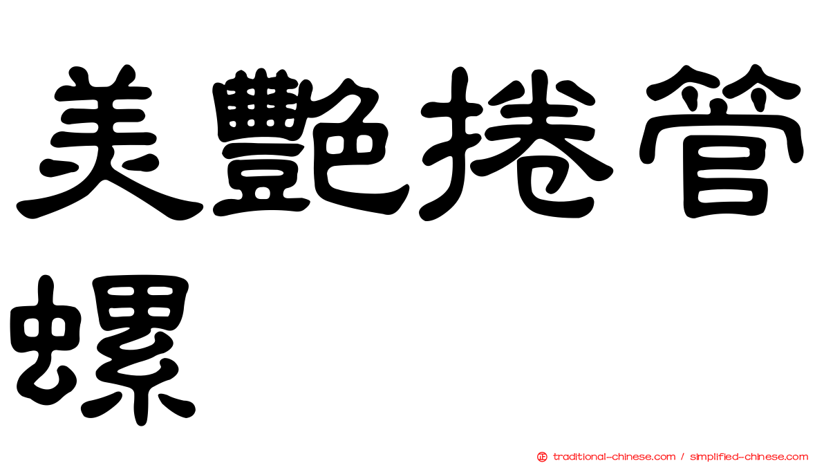 美艷捲管螺
