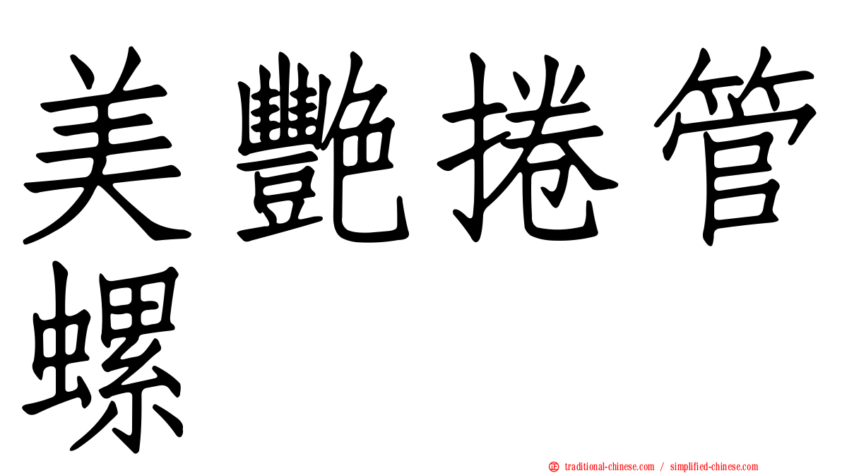 美艷捲管螺