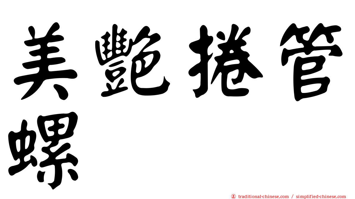 美艷捲管螺