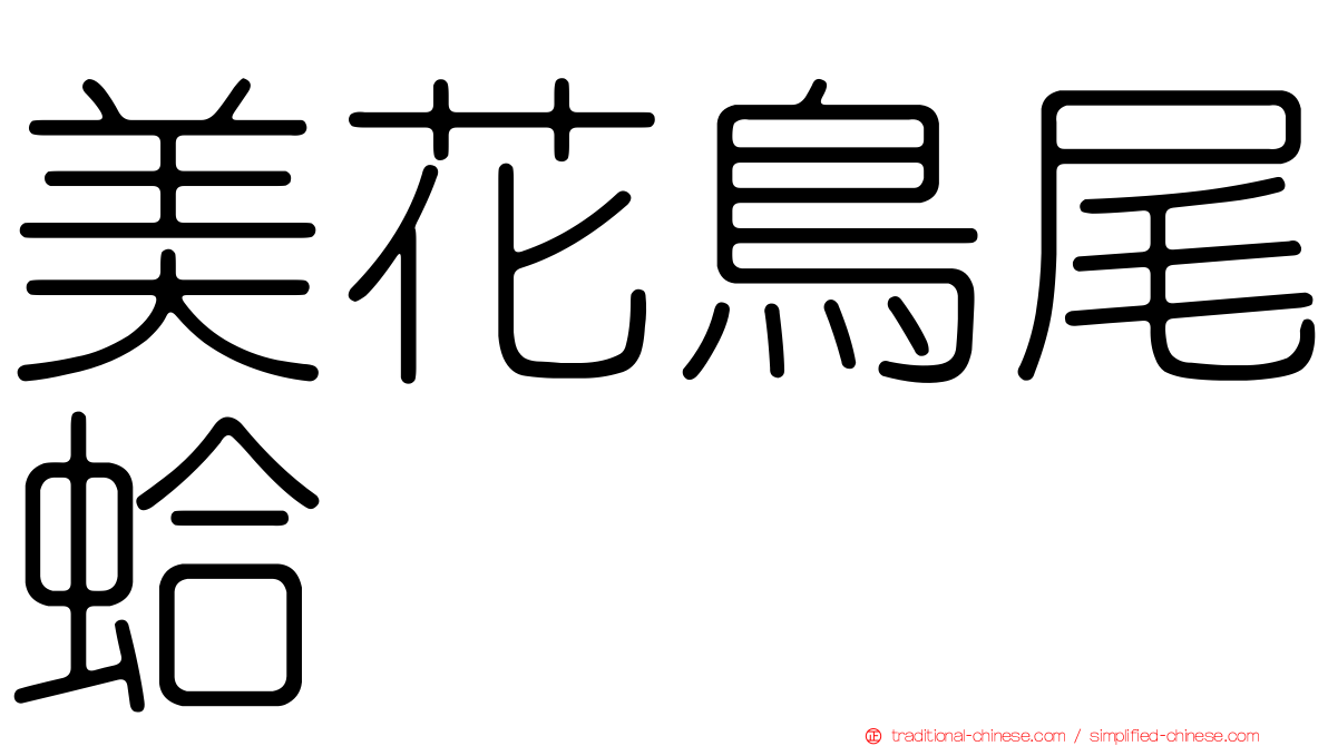 美花鳥尾蛤