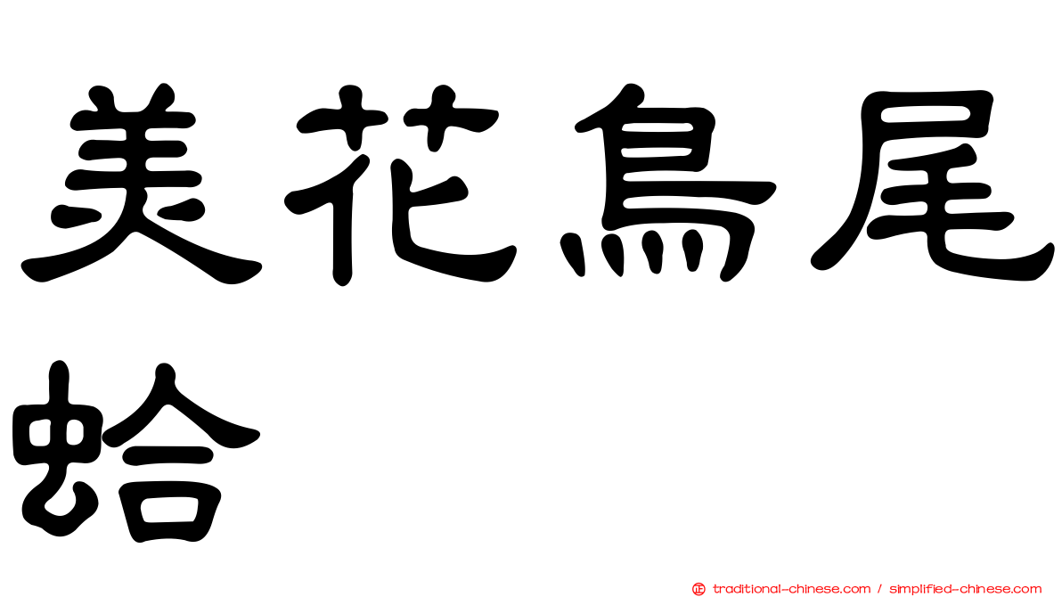 美花鳥尾蛤