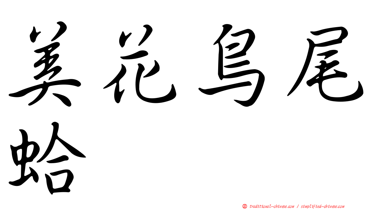 美花鳥尾蛤