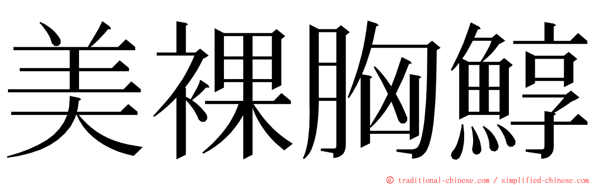美裸胸鯙 ming font