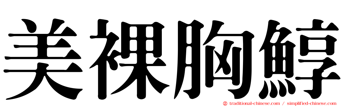 美裸胸鯙