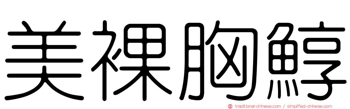 美裸胸鯙