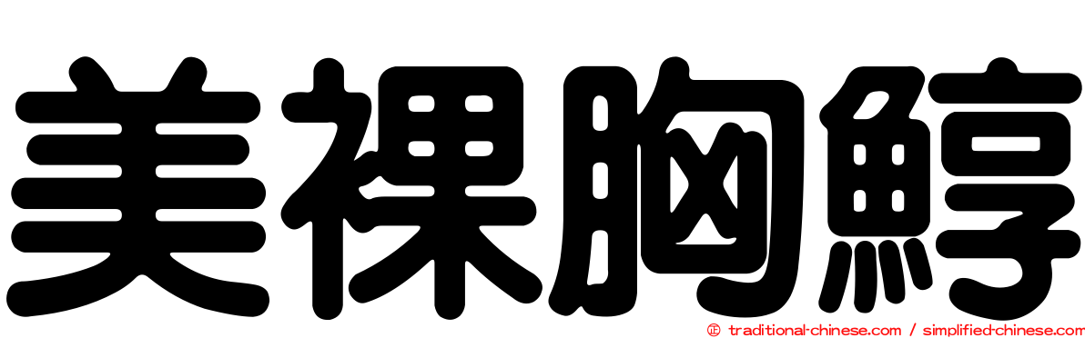 美裸胸鯙