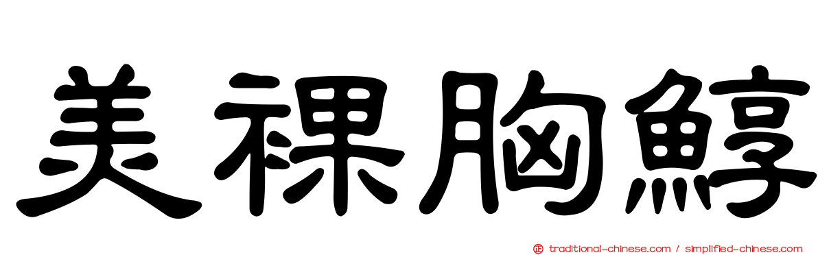 美裸胸鯙