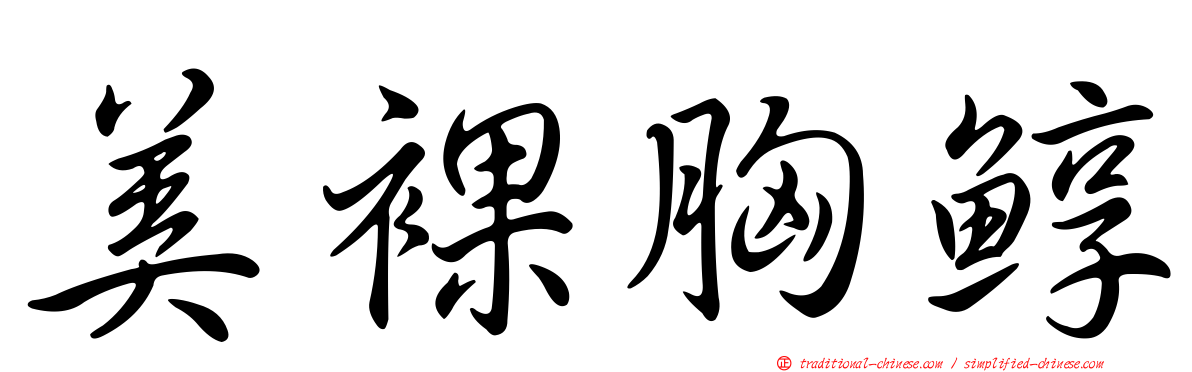 美裸胸鯙