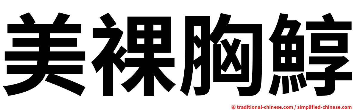 美裸胸鯙