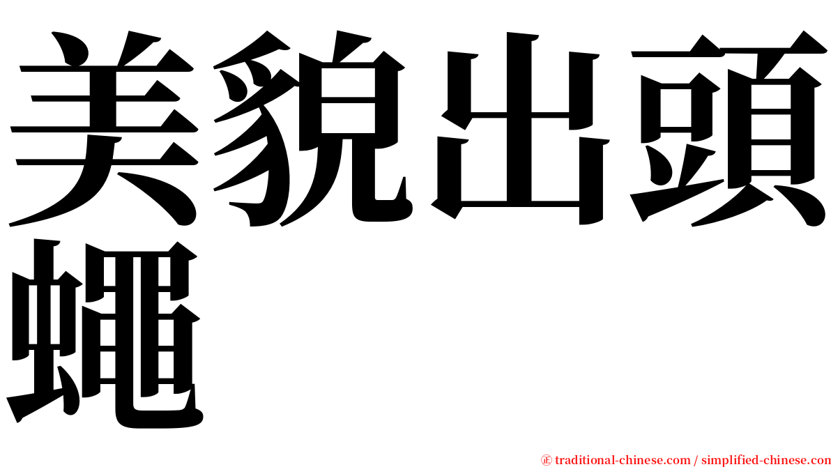 美貌出頭蠅 serif font