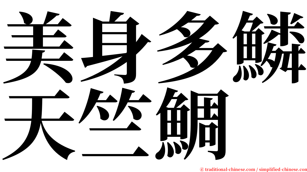 美身多鱗天竺鯛 serif font