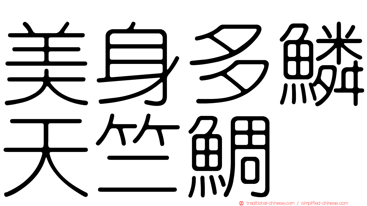 美身多鱗天竺鯛