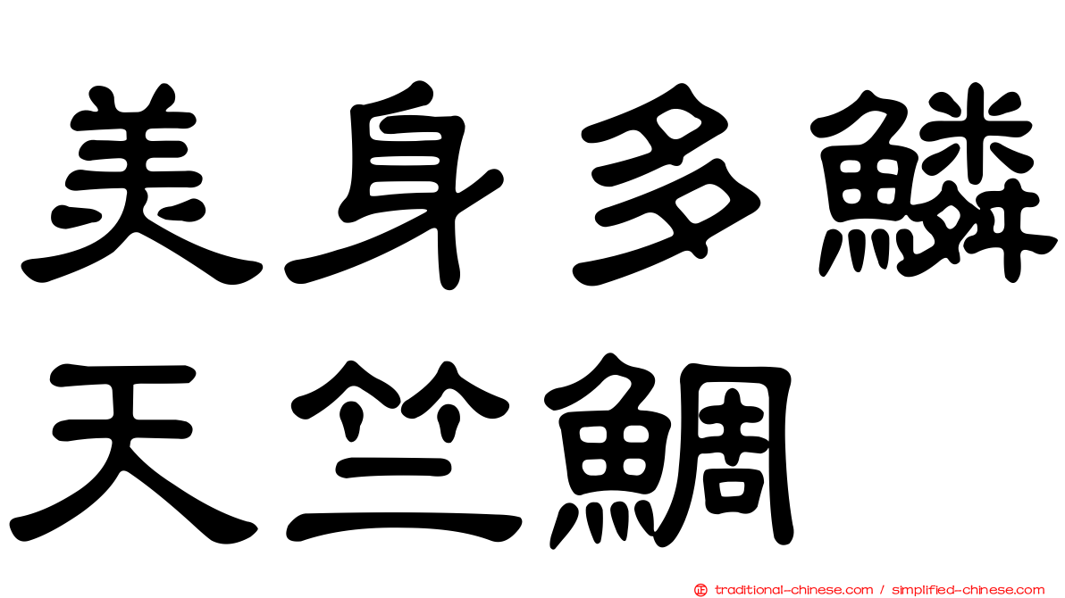 美身多鱗天竺鯛