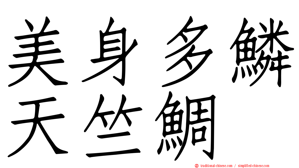 美身多鱗天竺鯛
