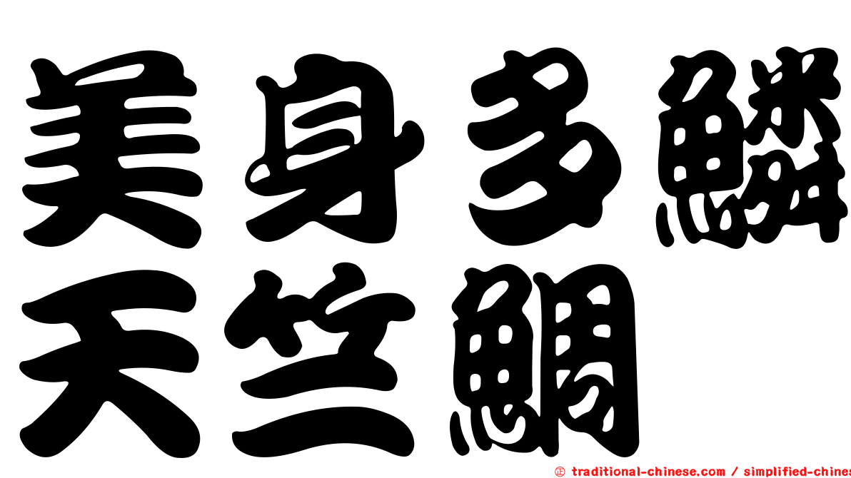 美身多鱗天竺鯛
