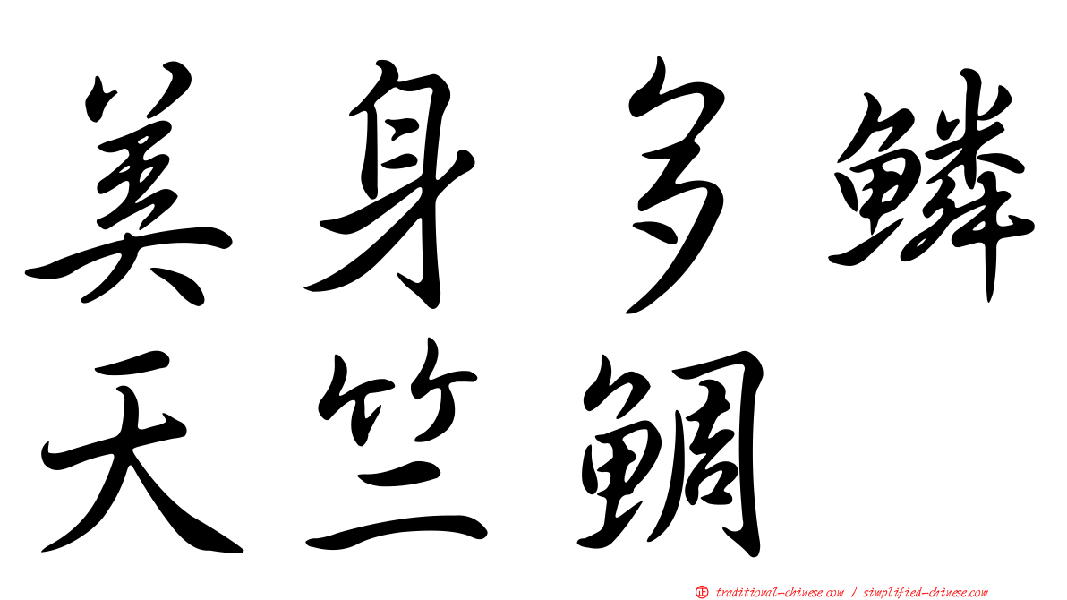 美身多鱗天竺鯛