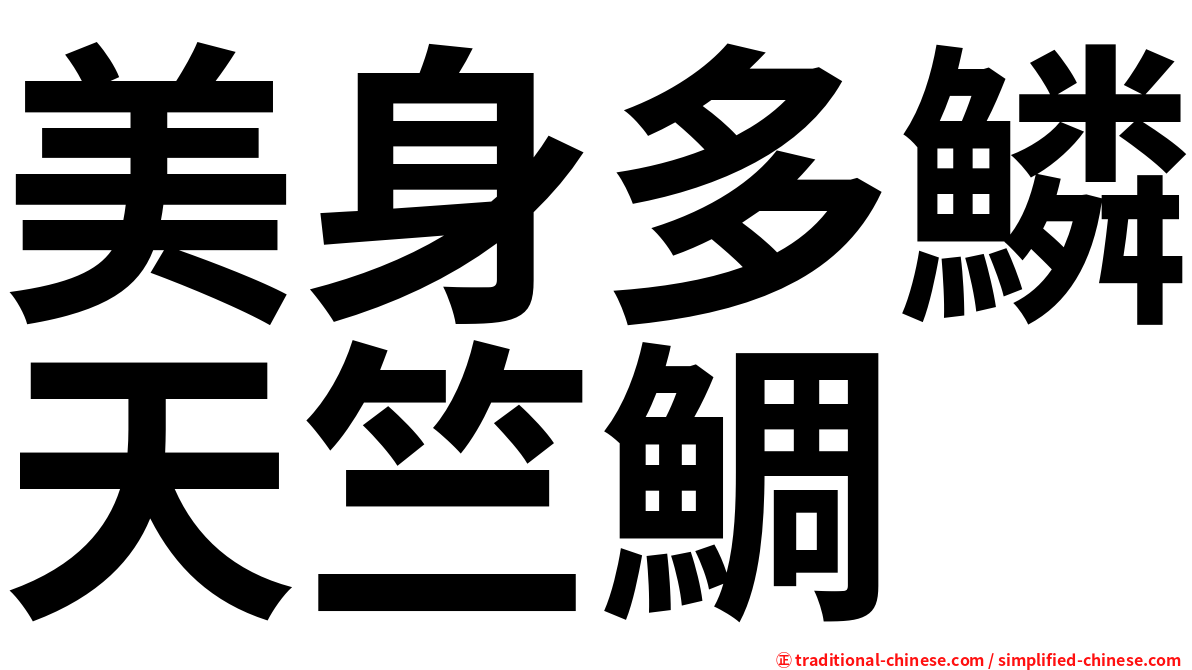 美身多鱗天竺鯛