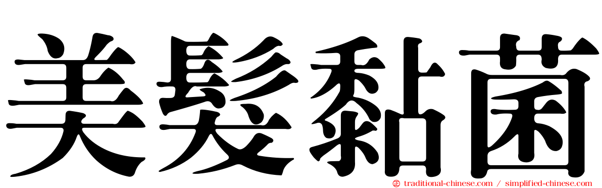 美髮黏菌