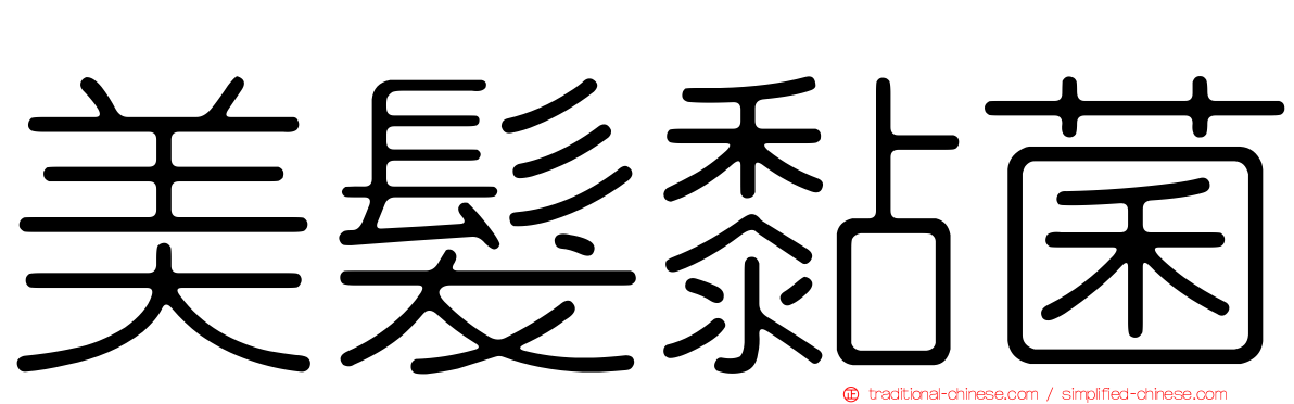 美髮黏菌