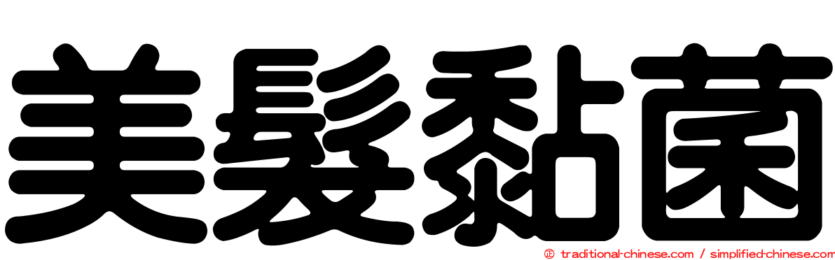 美髮黏菌