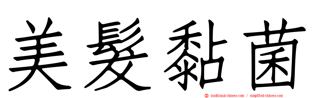 美髮黏菌