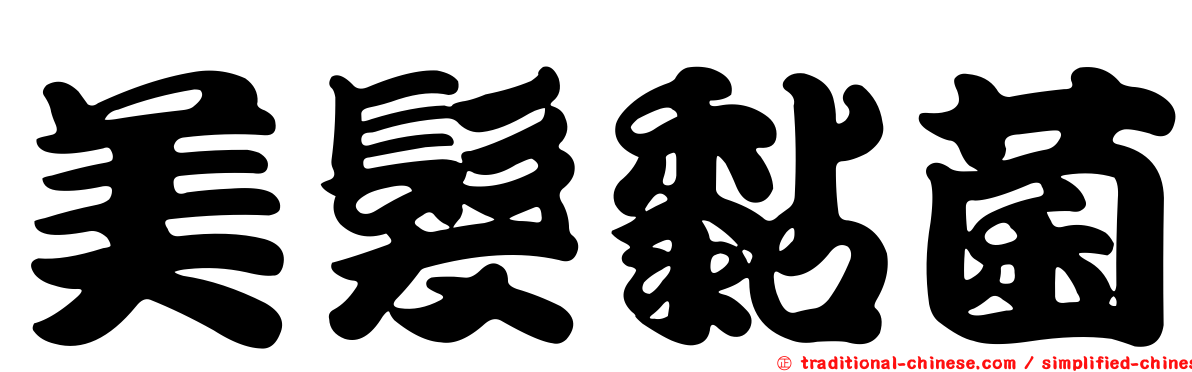 美髮黏菌