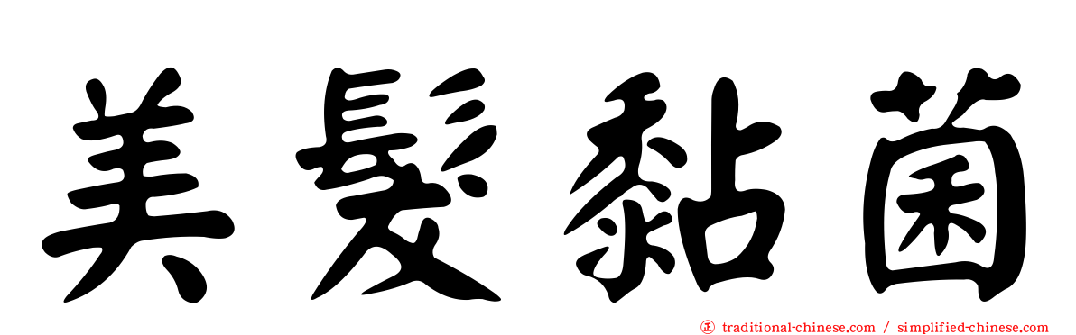 美髮黏菌