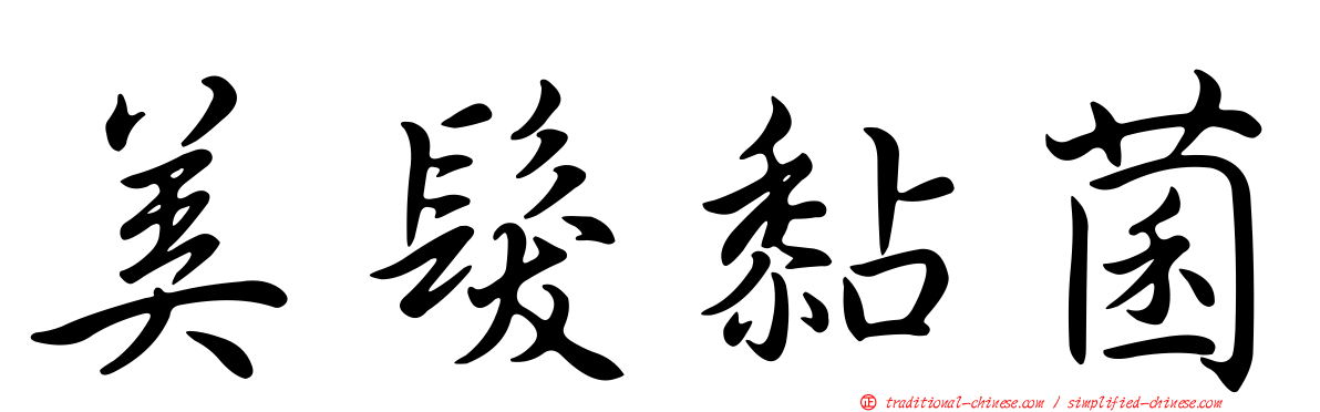 美髮黏菌