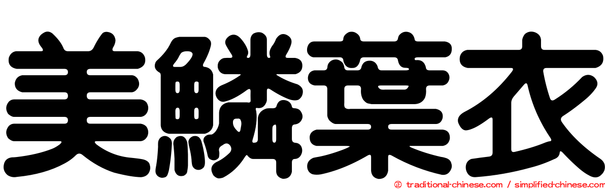 美鱗葉衣