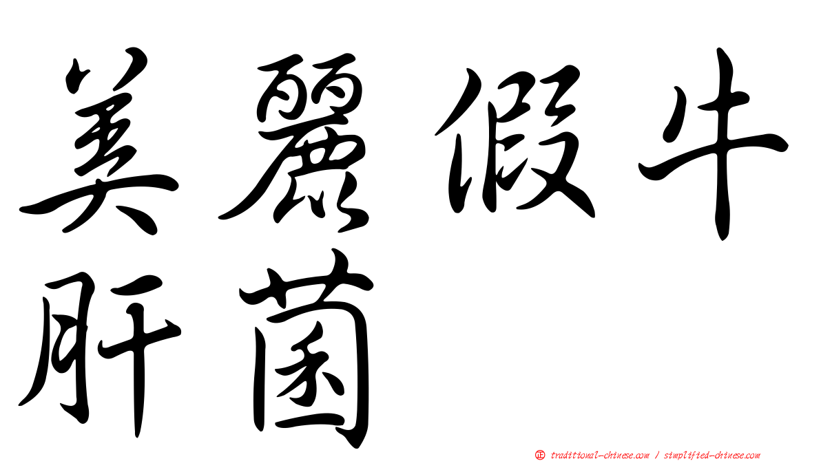 美麗假牛肝菌